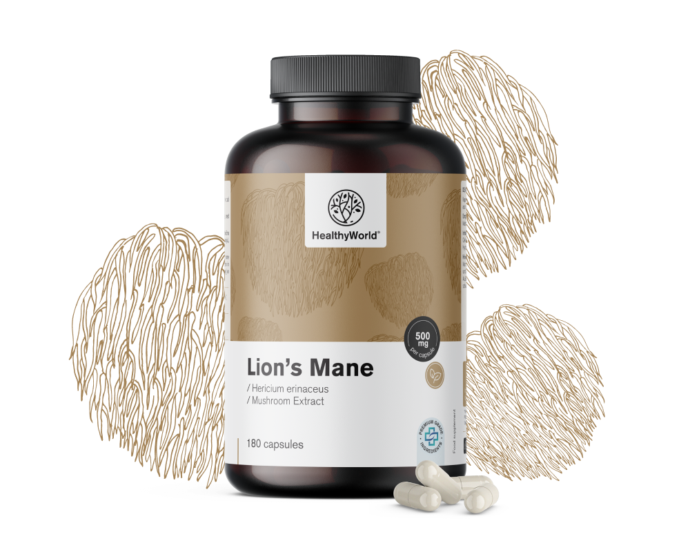 Cogumelo Juba de Leão