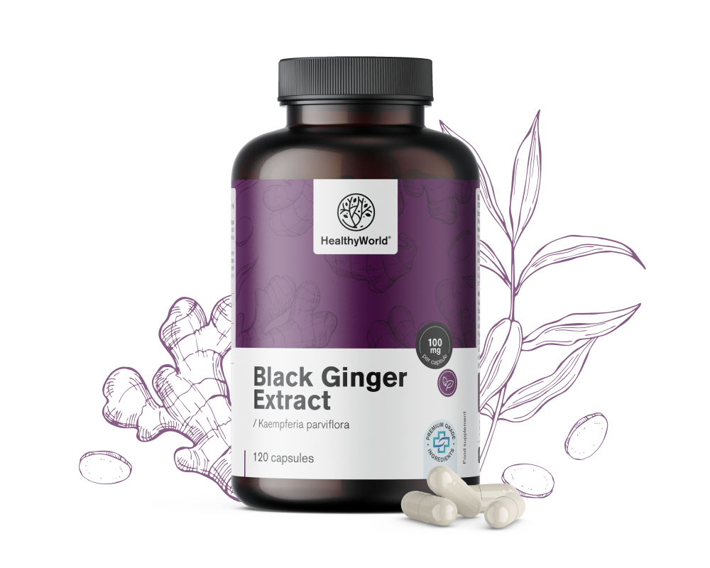 Gengibre negro – extrato