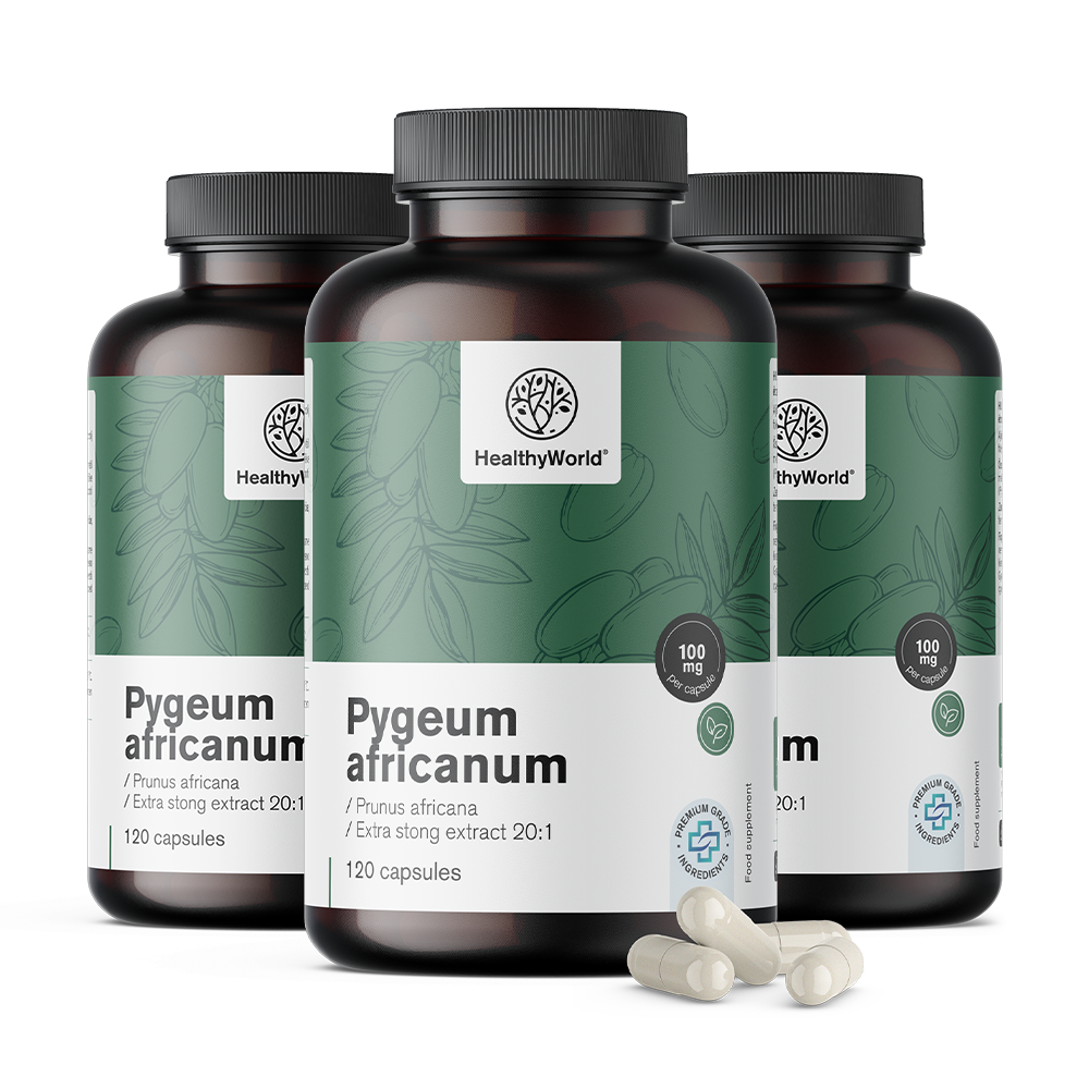 Pygeum – extrato de ameixa africana em cápsulas