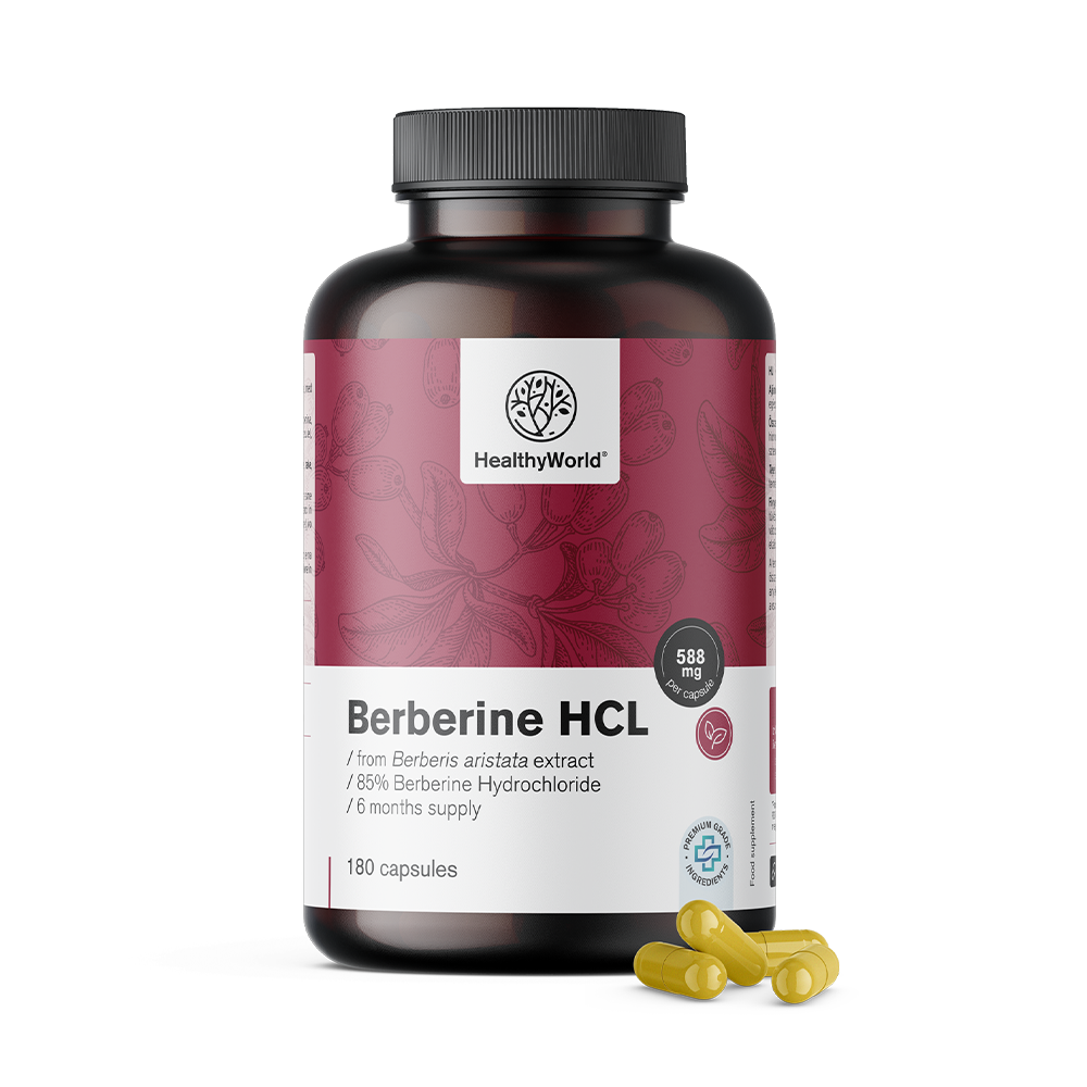 Berberina HCL 500 mg do extrato de Berberis aristata