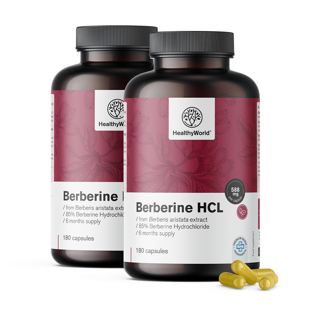 Berberina HCL 500 mg do extrato de Berberis aristata