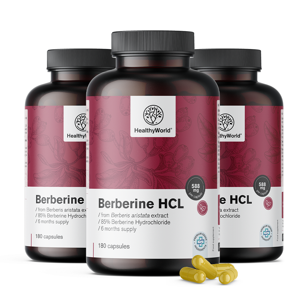Berberina HCL 500 mg do extrato de Berberis aristata