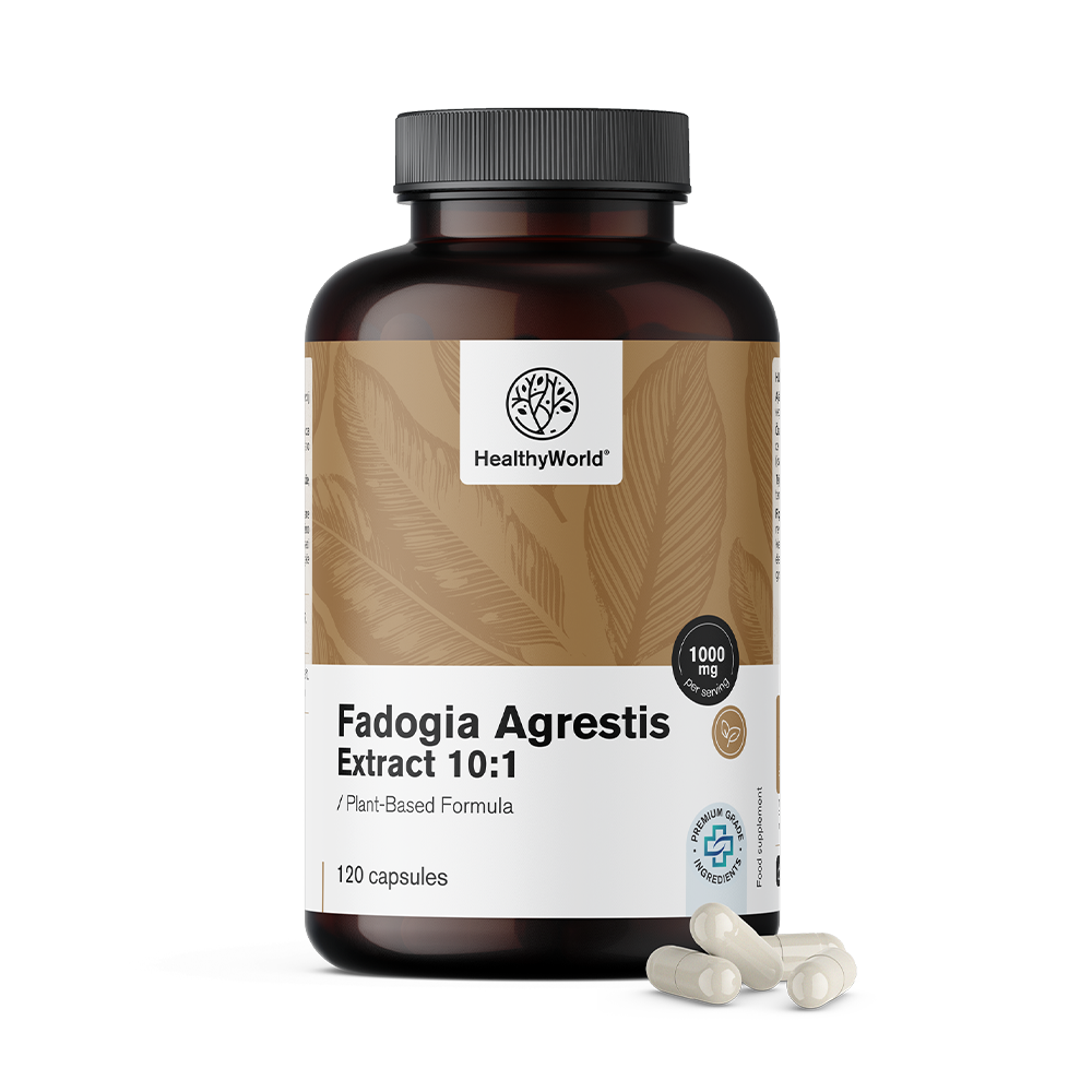 Fadogia Agrestis 1000 mg em cápsulas