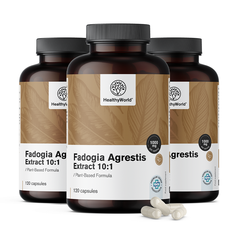 Fadogia Agrestis 1000 mg em cápsulas