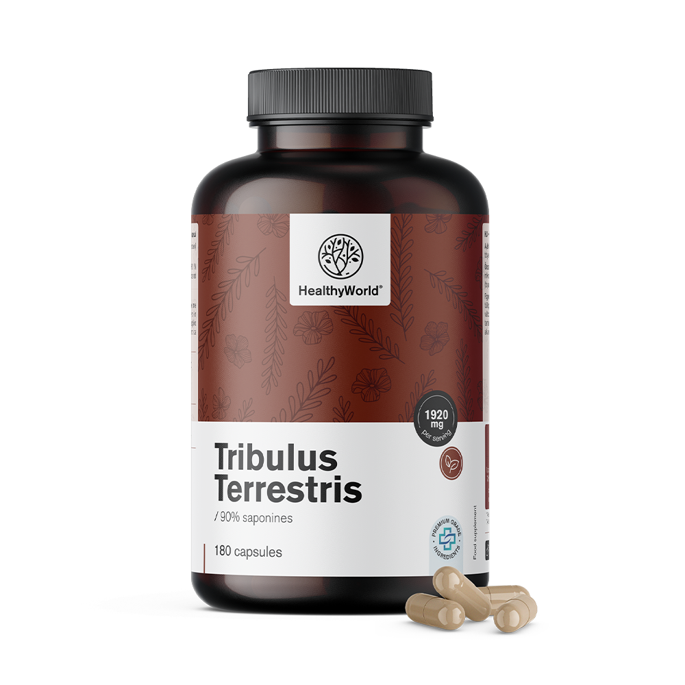 Tribulus Terrestris – Tribulus 1920 mg