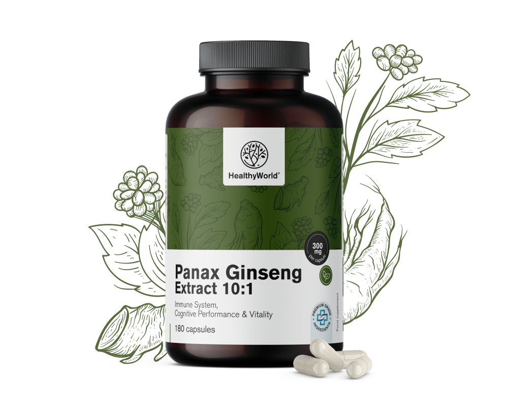 Panax ginseng 300 mg – extrato de ginseng 10:1