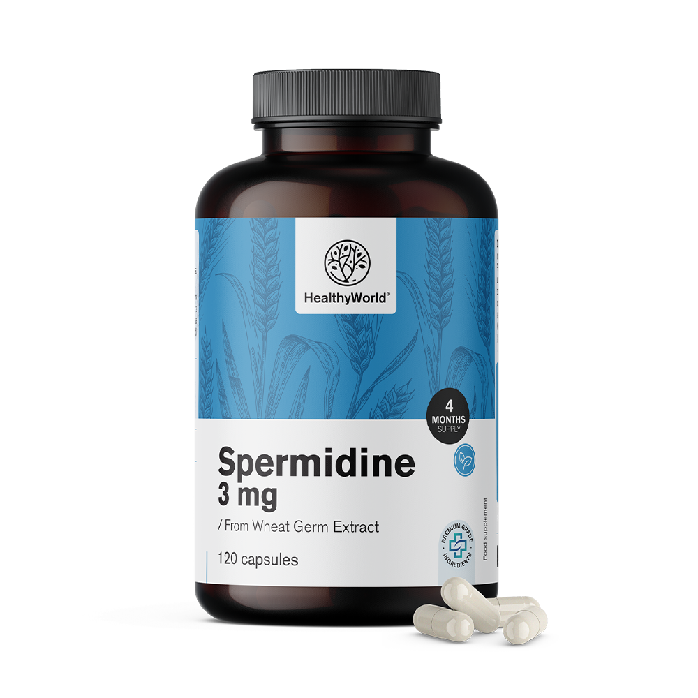 Spermidina 3 mg – do extrato de germe de trigo