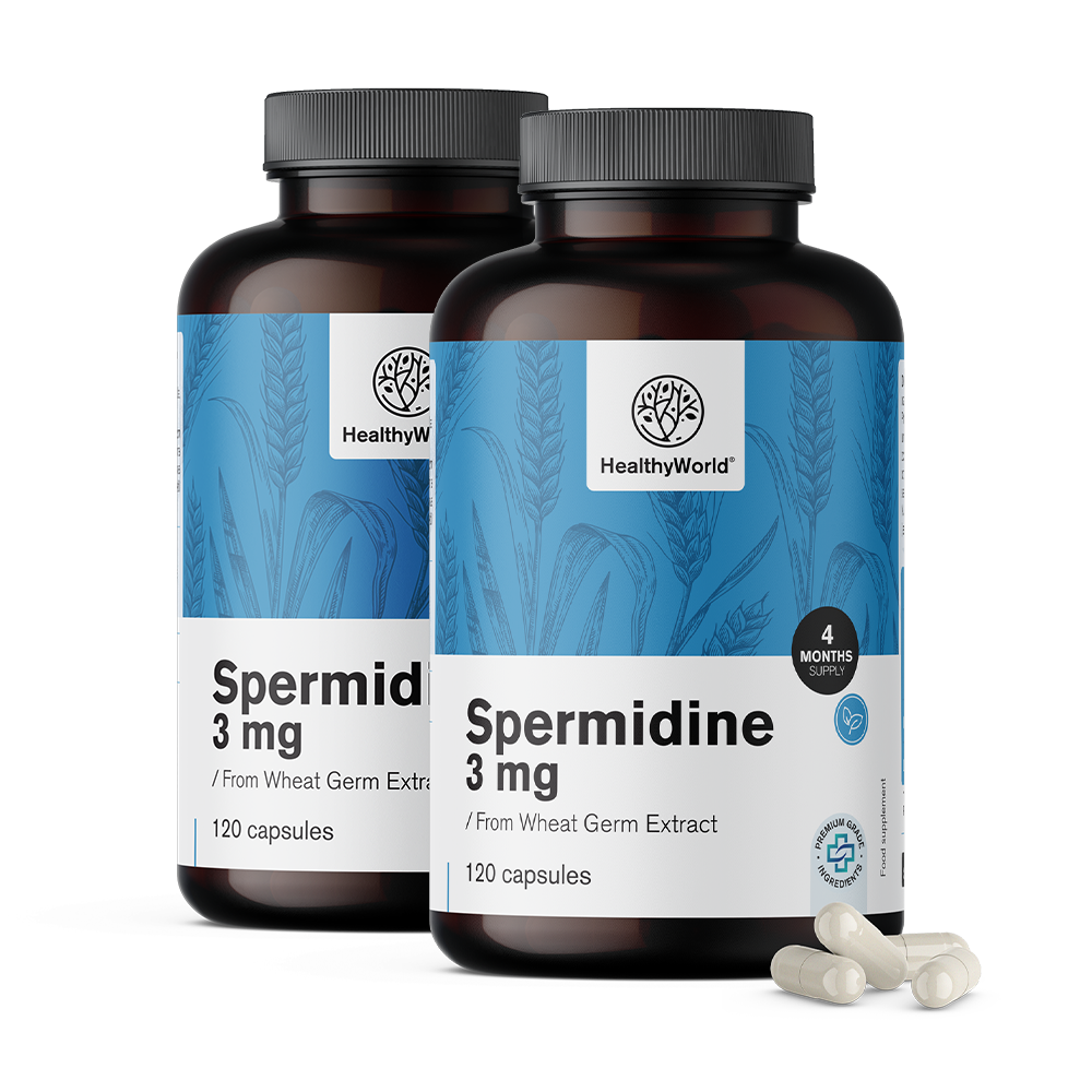 Spermidina 3 mg – do extrato de germe de trigo