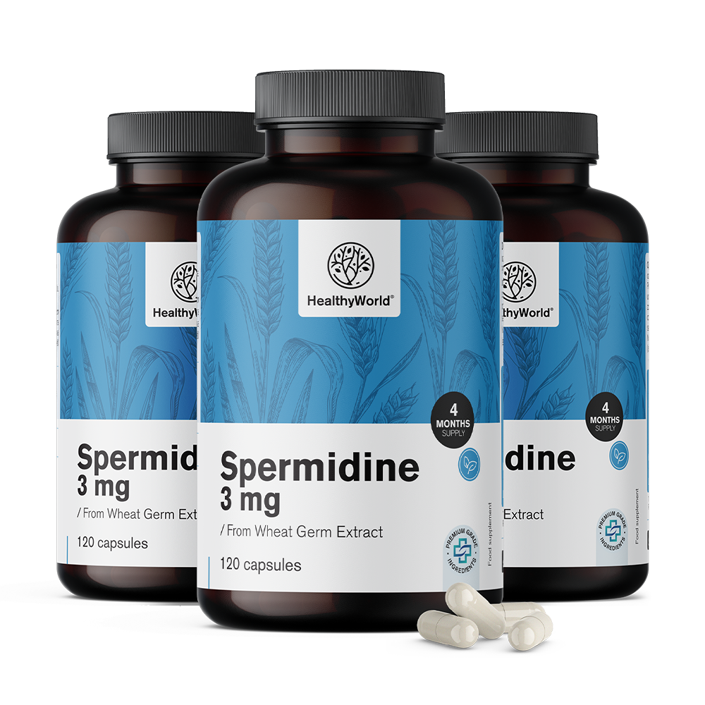 Spermidina 3 mg – do extrato de germe de trigo