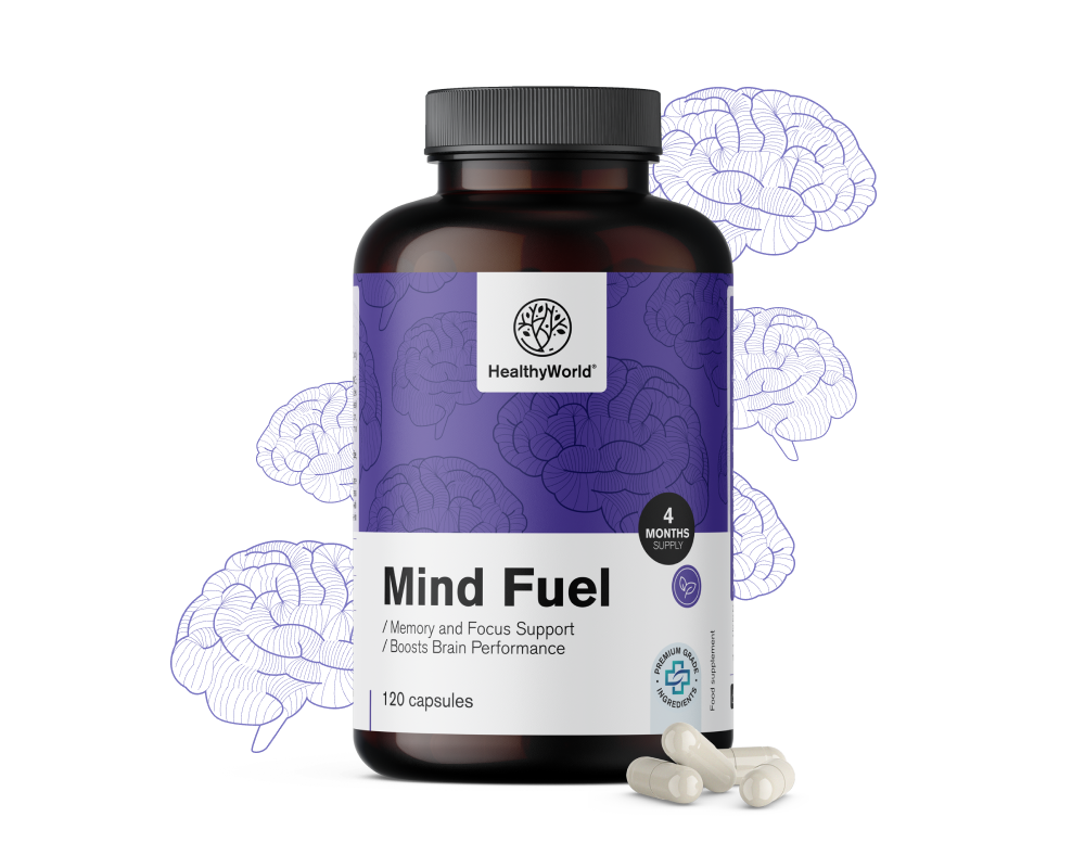 Mind Fuel - memória e concentração