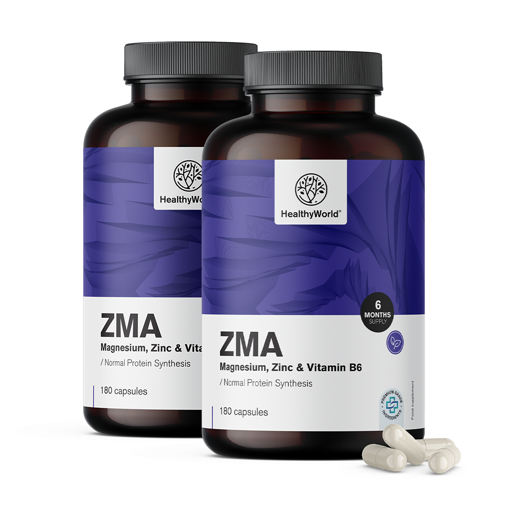 ZMA – magnésio, zinco e B6
