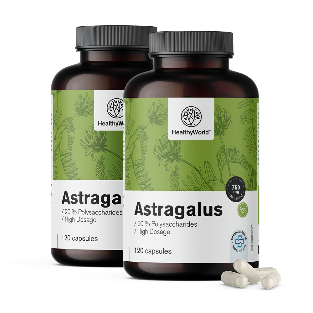 Astragalus – extrato