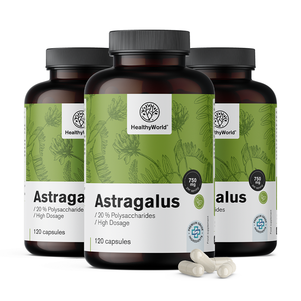 Astragalus – extrato