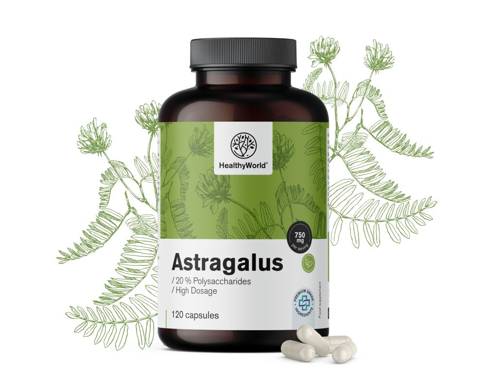 Astragalus – extrato