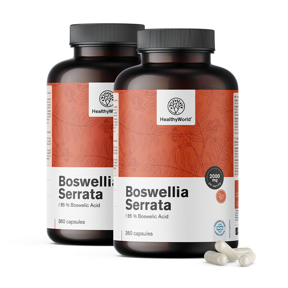 Boswellia serrata – 85 % de ácidos boswélicos