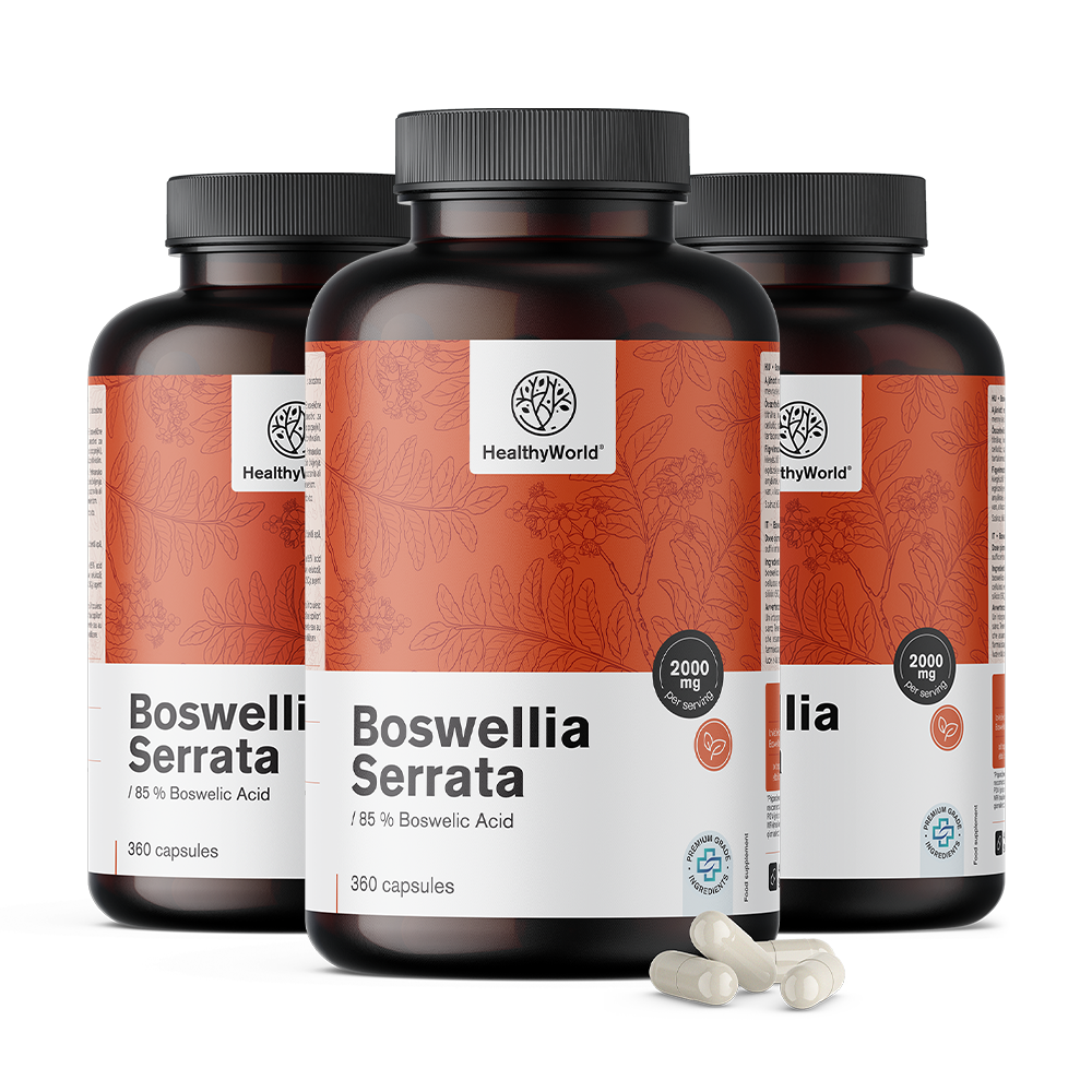 Boswellia serrata – 85 % de ácidos boswélicos