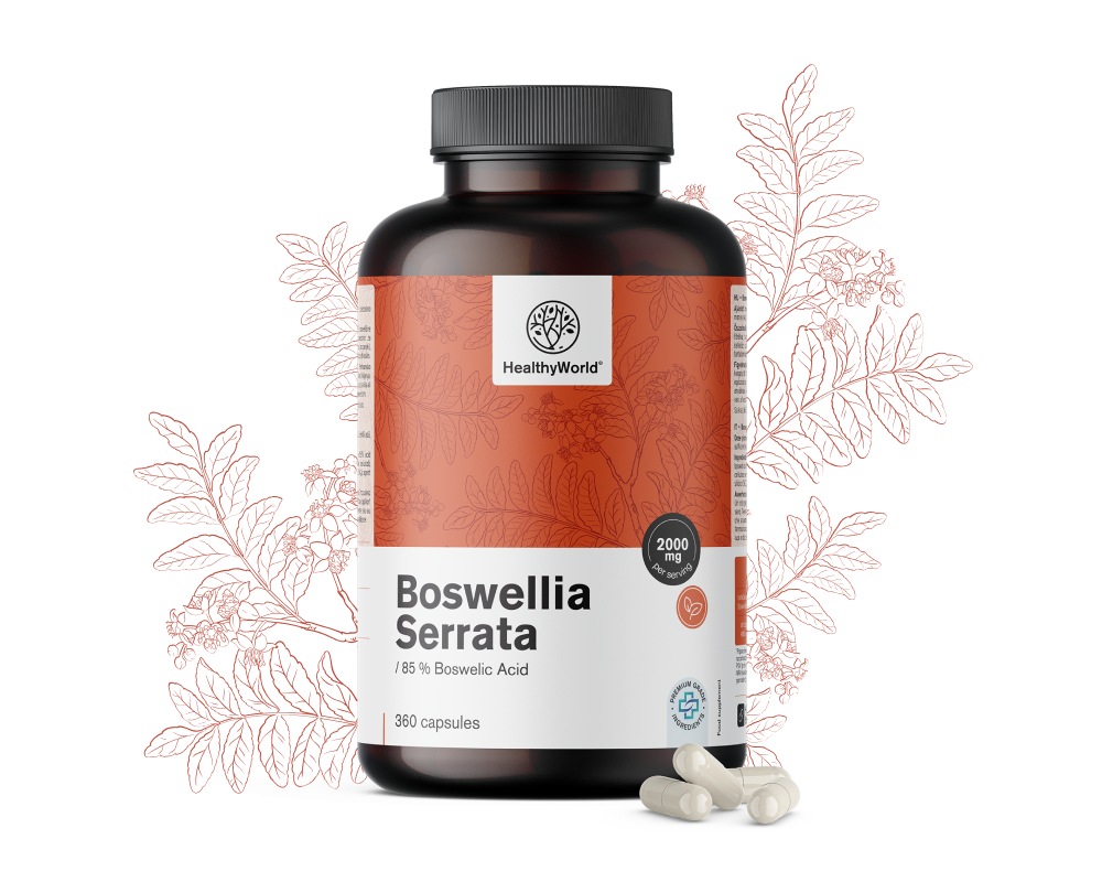 Boswellia serrata – 85 % de ácidos boswélicos